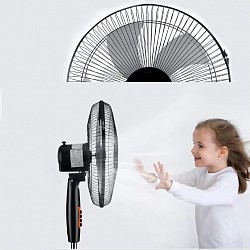 Fans